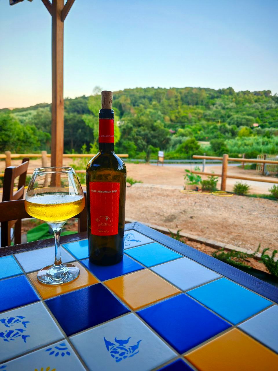 Degustazione vini alla Fattoria Bonaparte